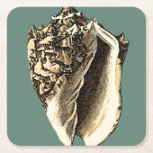 Aquamarin Conch-Muschel Rechteckiger Pappuntersetzer (Vorderseite)