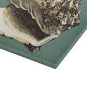 Aquamarin Conch-Muschel Schneidebrett (Ecke)