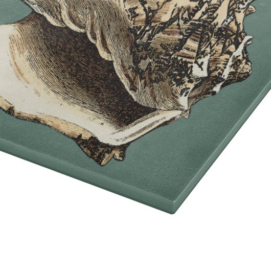 Aquamarin Conch-Muschel Schneidebrett (Ecke)