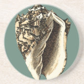 Aquamarin Conch-Muschel Untersetzer (Vorne)