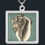 Aquamarin Conch-Muschel Versilberte Kette<br><div class="desc">In dieser schönen,  klassischen Muschel mit schwarz-weißer Konkade kann man die Schattierung einer natürlichen Muschel sehr scharf und klar sehen.  Sie können sich am Strand vorstellen,  auf der Suche nach Muscheln oder beim Spielen im Sand. Holen Sie sich diese nautische aquamarine Conch Muschel Kunst auf Ihre Lieblingsprodukte heute!</div>