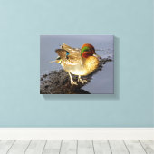 Aquamarin Duck Wrapped Canvas Art Leinwanddruck (Insitu (Holzboden))