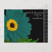 Aquamarin Gerber Daisy Wedding Einladung (Rückseite)