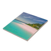 Aquamarin Ozean Tropische Strand Szene Fliese (Seite)