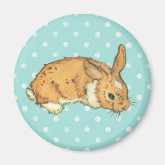 Aquamarin Polka Dot Bunny Magnet