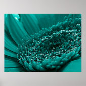 Aquamarin Poster (Vorne)