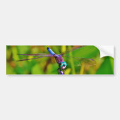 Aquamarin Rainbow Dragonfly Autoaufkleber (Vorne)