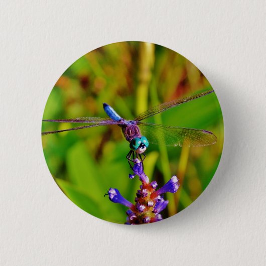 Aquamarin Rainbow Dragonfly Button (Vorderseite)