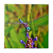 Aquamarin Rainbow Dragonfly Fliese (Vorderseite)