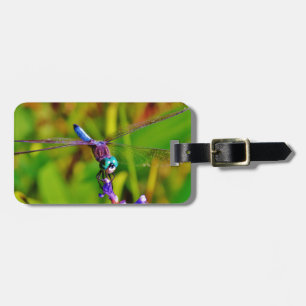 Aquamarin Rainbow Dragonfly Gepäckanhänger