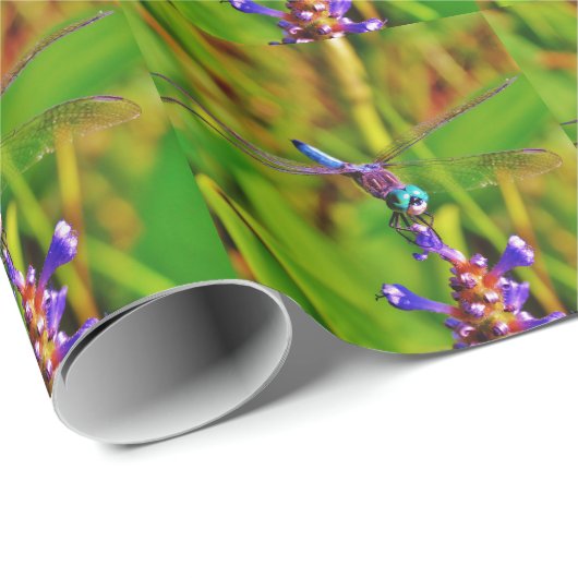 Aquamarin Rainbow Dragonfly Geschenkpapier (Rolleneckpunkt)