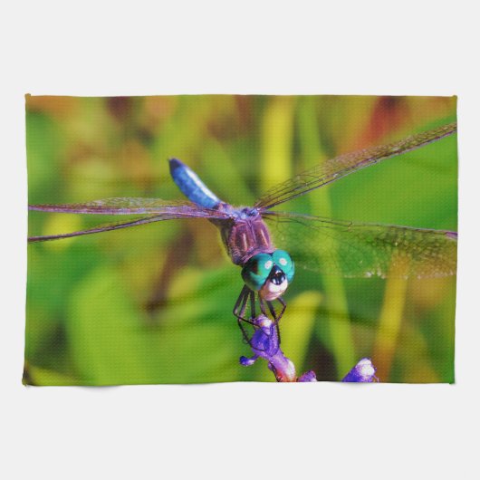 Aquamarin Rainbow Dragonfly Geschirrtuch (Horizontal)