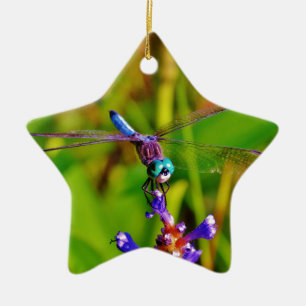 Aquamarin Rainbow Dragonfly Keramik Ornament