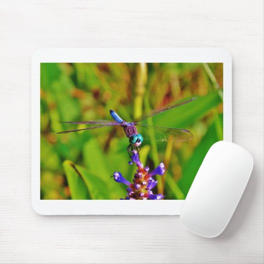 Aquamarin Rainbow Dragonfly Mousepad (Mit Mouse)