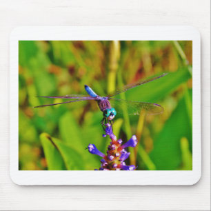 Aquamarin Rainbow Dragonfly Mousepad