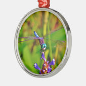 Aquamarin Rainbow Dragonfly Ornament Aus Metall (Links)