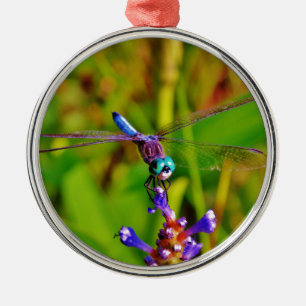 Aquamarin Rainbow Dragonfly Ornament Aus Metall