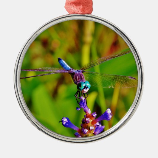 Aquamarin Rainbow Dragonfly Ornament Aus Metall (Vorne)