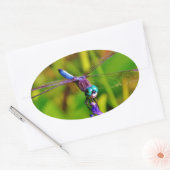 Aquamarin Rainbow Dragonfly Ovaler Aufkleber (Umschlag)