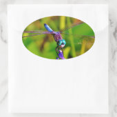 Aquamarin Rainbow Dragonfly Ovaler Aufkleber (Tasche)