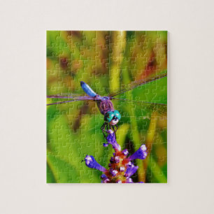 Aquamarin Rainbow Dragonfly Puzzle
