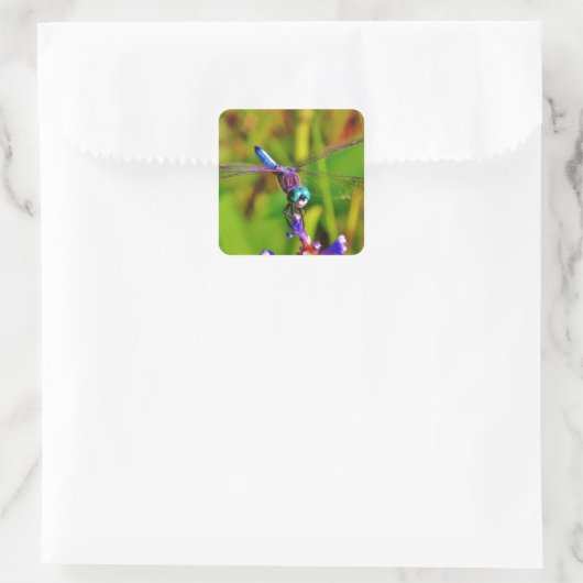 Aquamarin Rainbow Dragonfly Quadratischer Aufkleber (Tasche)