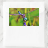 Aquamarin Rainbow Dragonfly Rechteckiger Aufkleber (Tasche)
