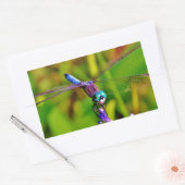 Aquamarin Rainbow Dragonfly Rechteckiger Aufkleber (Umschlag)