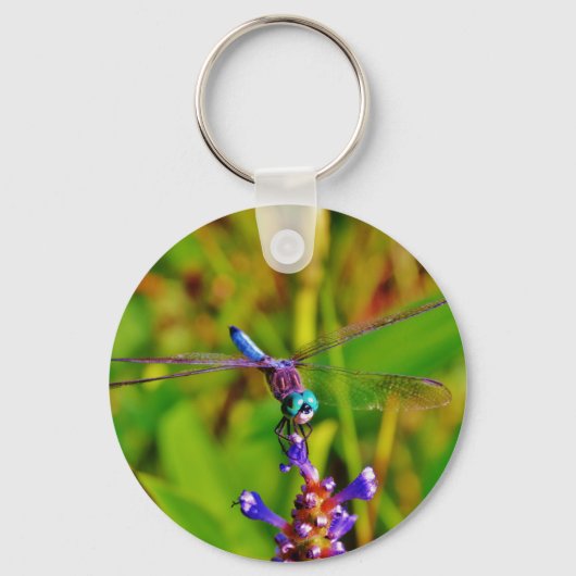 Aquamarin Rainbow Dragonfly Schlüsselanhänger (Vorderseite)