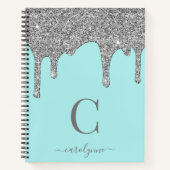 Aquamarine Aqua Silver Sparkle Glitzer Tropfen Mon Notizblock (Vorderseite)
