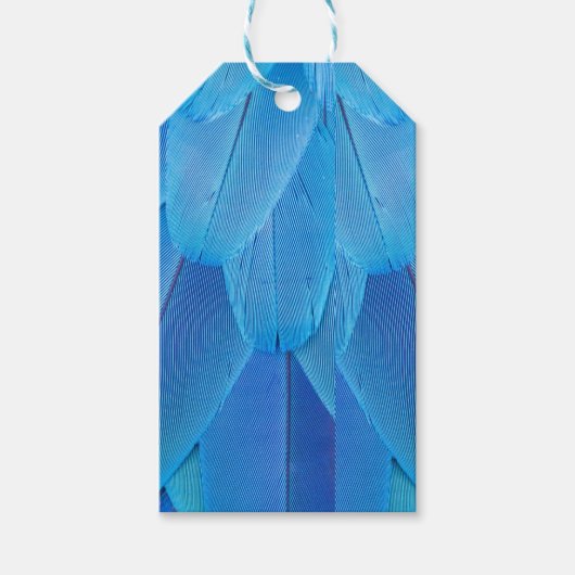 Aquamarine blaue Federn des Macaw Parrot Geschenkanhänger (Vorderseite)