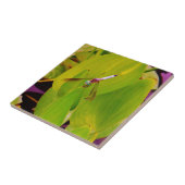 Aquamarine blaue Libelle auf grünem Leaf. Fliese (Seite)