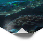 Aquamarine Blaue Unterwasser-Dolphin-Szene II Poster (Ecke)