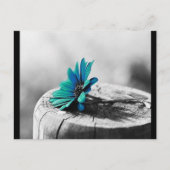 Aquamarine Blume Postkarte (Vorderseite)