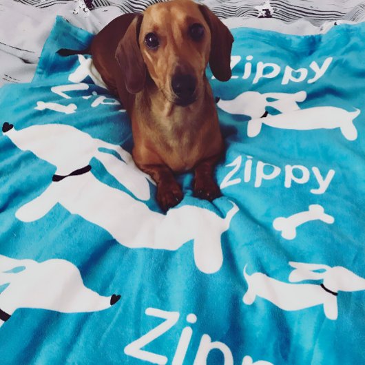 Aquamarine Dackel Maßgeschneidertes Schuhwerk für Fleecedecke