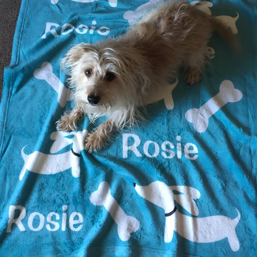 Aquamarine Dackel Maßgeschneidertes Schuhwerk für Fleecedecke