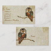 Aquamarine Eulen-Geschäfts-Karte/Umbauten Visitenkarte (Vorne/Hinten)