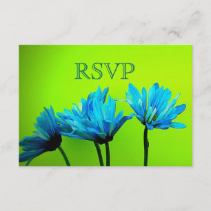 Aquamarine Gerber Daisies auf Lime Green Wedding R RSVP Karte
