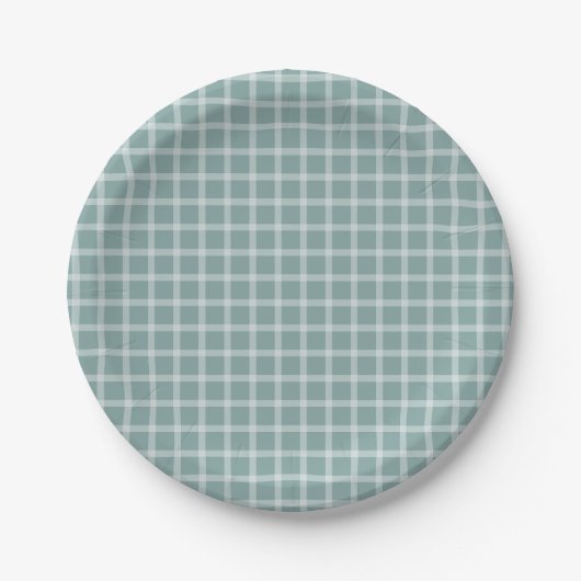 Aquamarine Gingham Gender Neutral Baby Dusche Pappteller (Vorderseite)