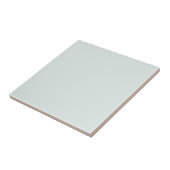 Aquamarine grüne Farbe in hellbeige, helle Farbe Fliese (Seite)