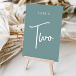 Aquamarine Hand-Drehscheibe ZWEI Tischnummer<br><div class="desc">Einfache und schicke Tischnummer-Karten in staubigen aquamarinen Aqua und Weiß machen eine elegante Aussage bei Ihrer Hochzeit oder Veranstaltung. Das Design bietet "table [number]" in einem spannenden Mix aus klassischen Serifen und handgeschriebenen Skripten. Design wiederholt sich auf beiden Seiten. Einzelne nummerierte Karten werden separat verkauft; bestellen Sie jede Tischnummer einzeln...</div>