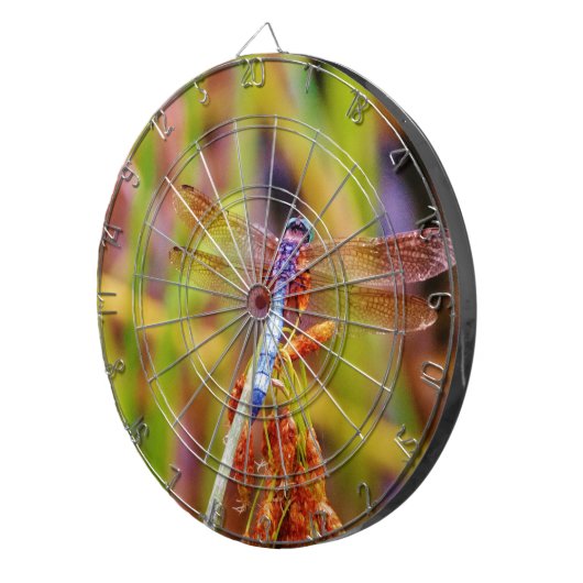 Aquamarine Libelle am Meer Dartscheibe (Vorderseite rechts)