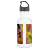 Aquamarine Libelle am Meer Edelstahlflasche (Rückseite)