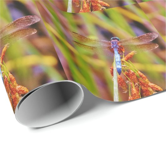 Aquamarine Libelle am Meer Geschenkpapier (Rolleneckpunkt)