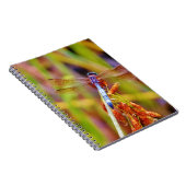 Aquamarine Libelle am Meer Notizblock (Rechte Seite)