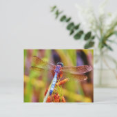 Aquamarine Libelle am Meer Postkarte (Stehend Vorderseite)