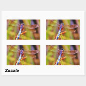 Aquamarine Libelle am Meer Rechteckiger Aufkleber (Blatt)