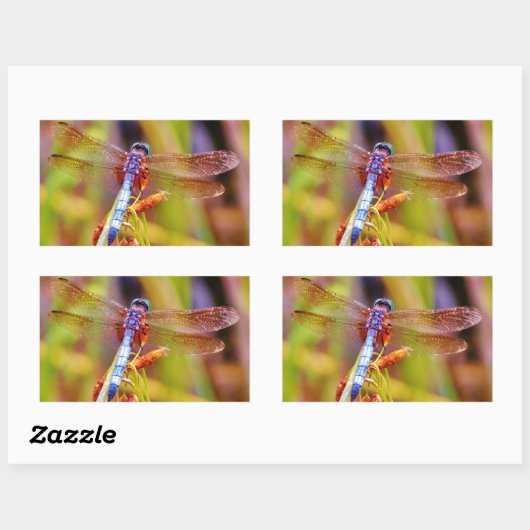 Aquamarine Libelle am Meer Rechteckiger Aufkleber (Blatt)