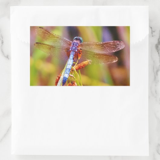 Aquamarine Libelle am Meer Rechteckiger Aufkleber (Tasche)