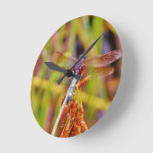 Aquamarine Libelle am Meer Runde Wanduhr (Winkel)